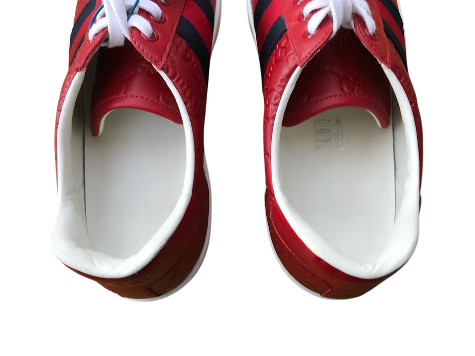 Gucci Ace Red Sneaker With Web