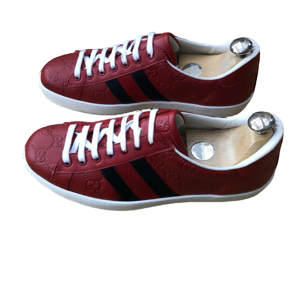 Gucci Ace Red Sneaker With Web
